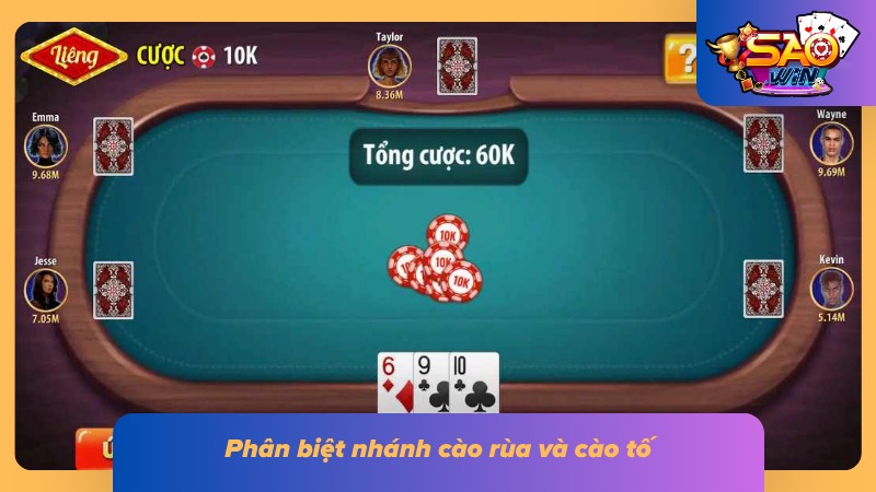 Hai nhánh đặc trưng của bài cào
