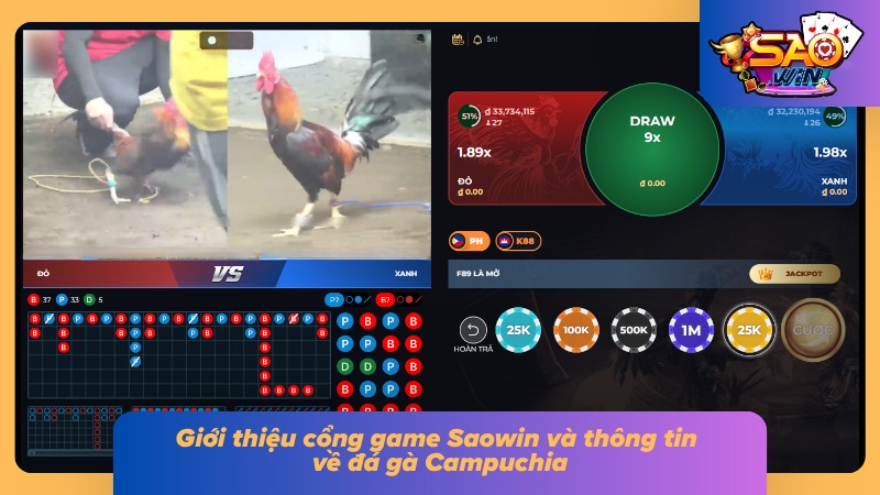 Tổng quan sảnh cược gà Campuchia cùng những thông tin đáng chú ý