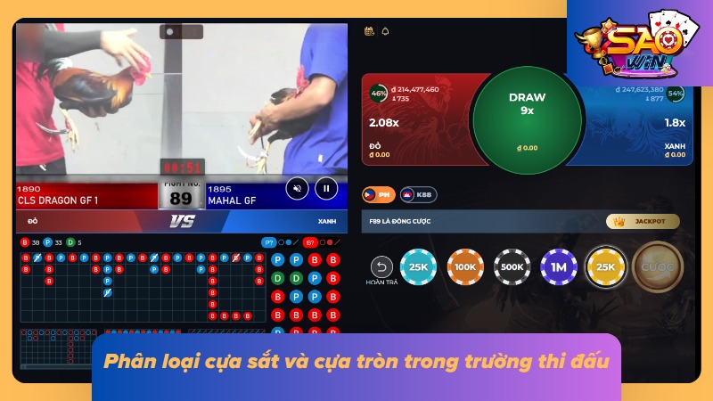Phân biệt cựa sắt và cựa tròn theo đặc điểm từng loại