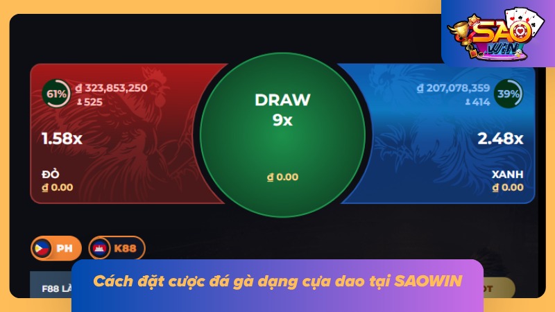 Cách đặt cược đá gà dễ dàng
