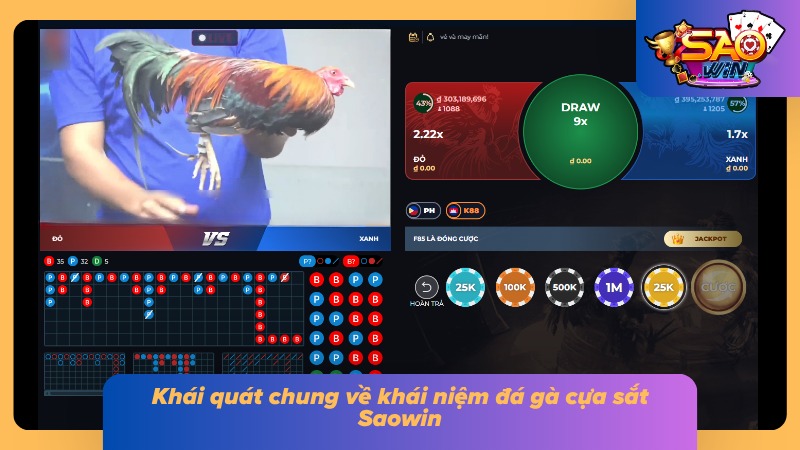Khái niệm hình thức Cockfighting vạn người mê