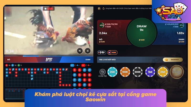 Luật chọi kê cực kỳ dễ hiểu cho newbie