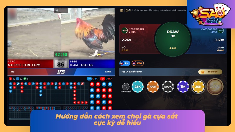 Cách quan sát trận đấu chọi kê