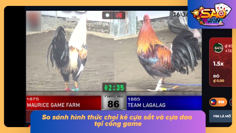04 điểm khác biệt của hai hình thức Cockfighting siêu hot