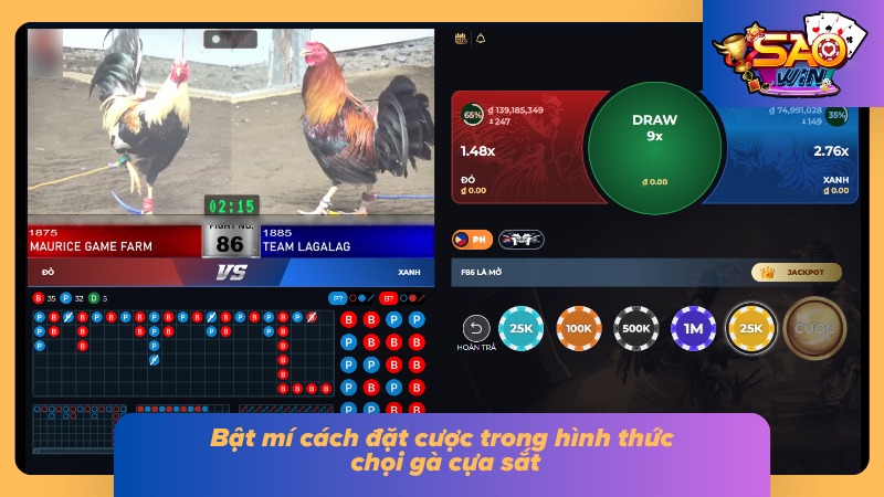 Thao tác đặt cược trong hình thức chọi kê “vạn người mê”