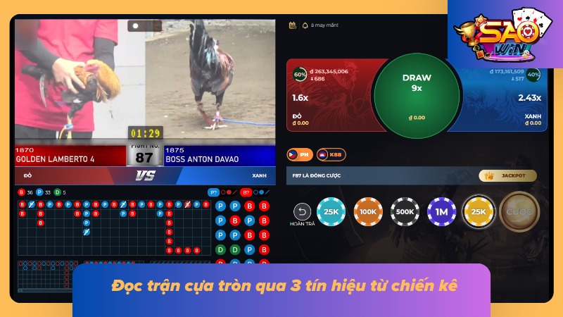 Quan sát thể trạng và phản ứng giúp theo dõi diễn biến chiến kê