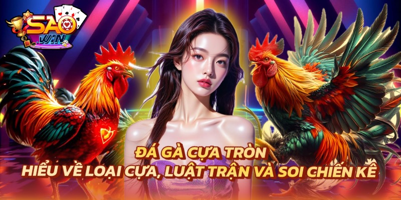 Đá gà cựa tròn