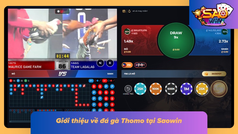 Khái quát về loại hình giải trí hàng đầu tại Saowin