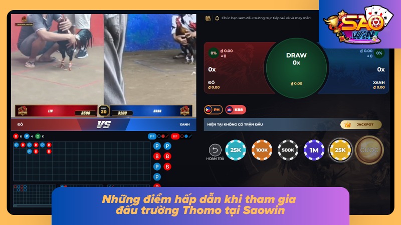 Trực tiếp đá gà Saowin với chất lượng sắc nét