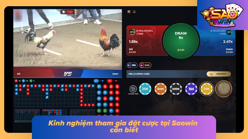 Bí quyết đặt cược tại Saowin của cao thủ