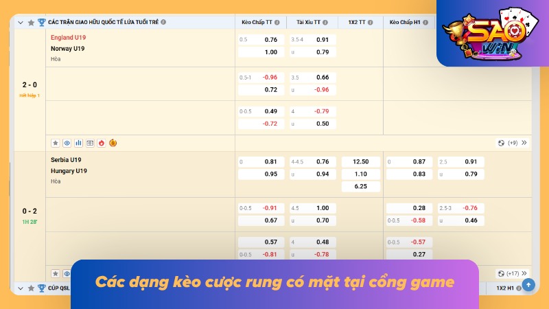 05 dạng cá độ được nhiều newbie lựa chọn